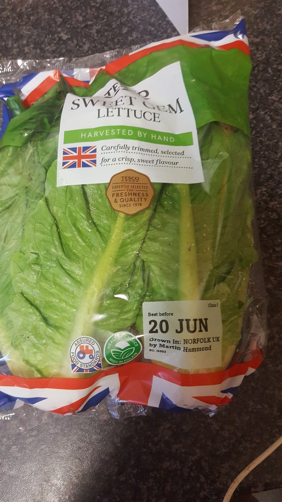 sweet-gem-lettuce-olio
