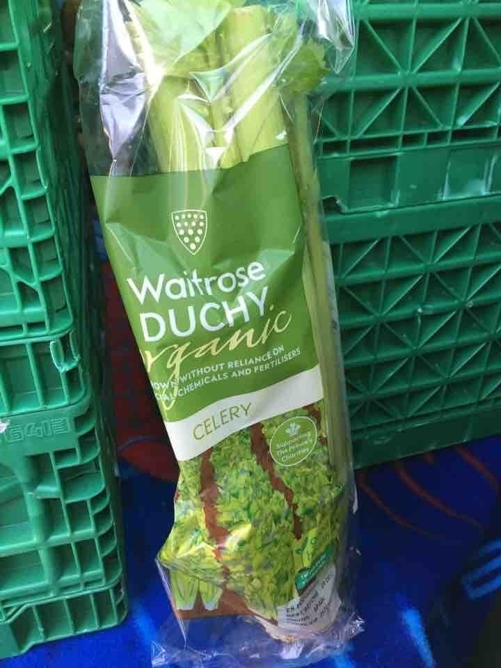 Organic celery X 17