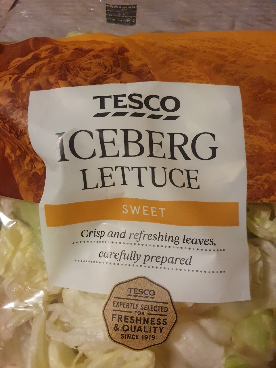 Tesco Iceburg Lettuce x 1 OLIO