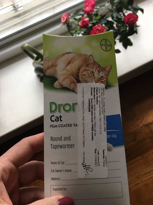 2 Dronal deworming tabs for cats OLIO