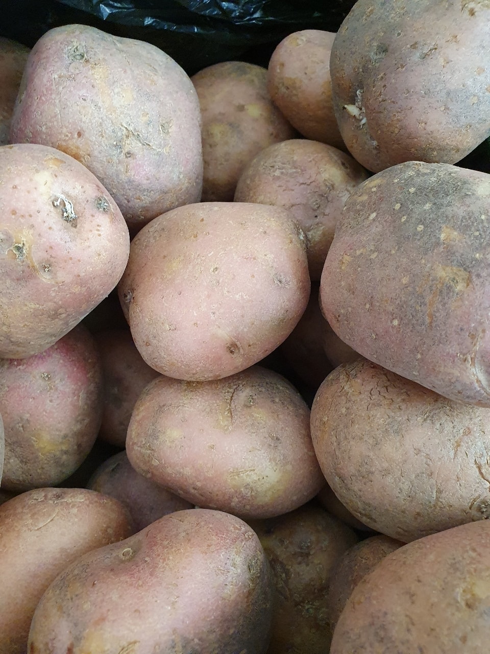 Loose red potatoes OLIO