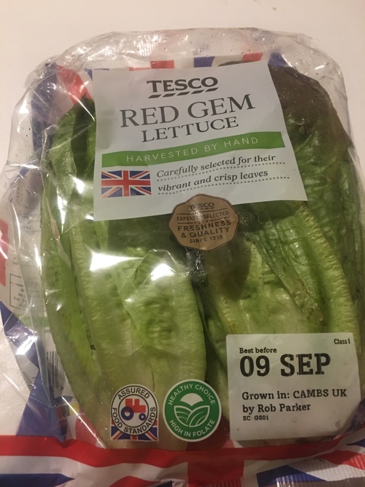 Tesco red gem lettuce OLIO