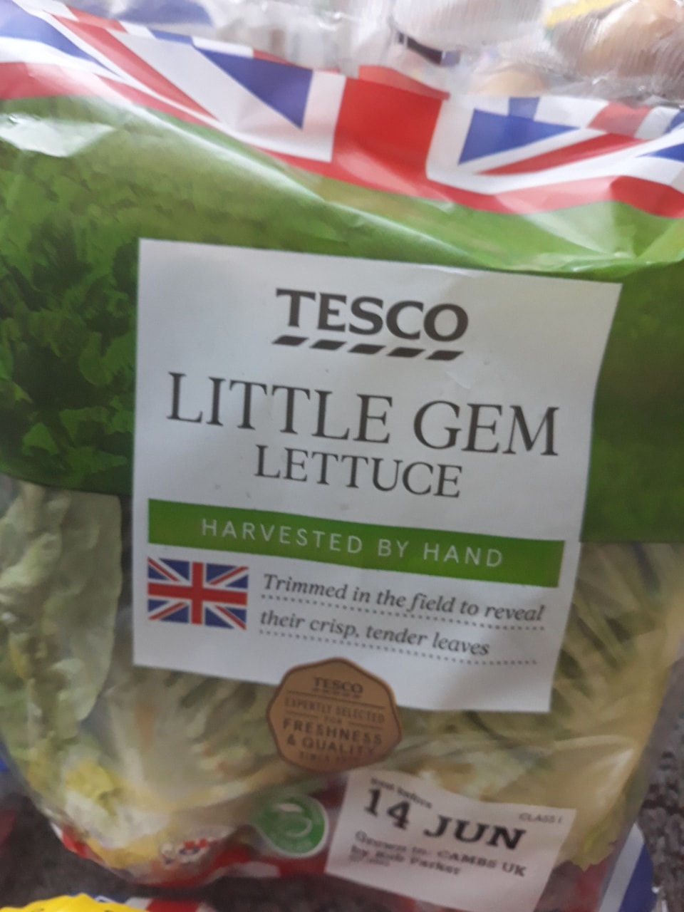TESCOS little gem lettuce OLIO