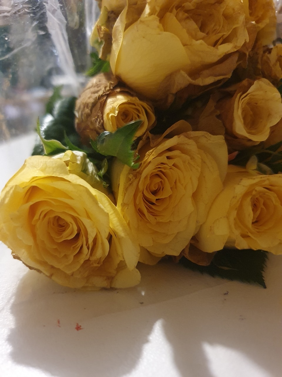 Tesco Flowers Yellow Roses OLIO