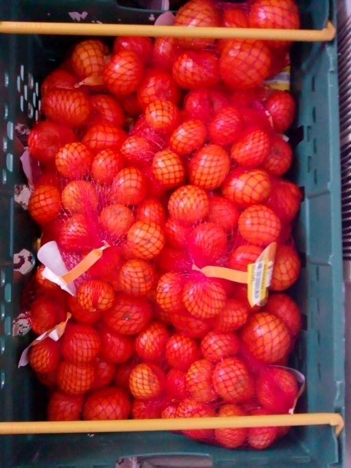 Bag of satsumas/easy peelers OLIO