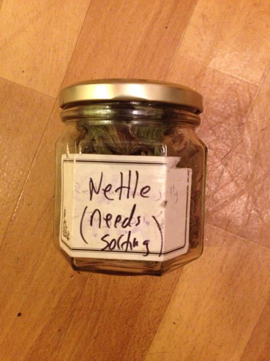 Jar Dried Nettles OLIO