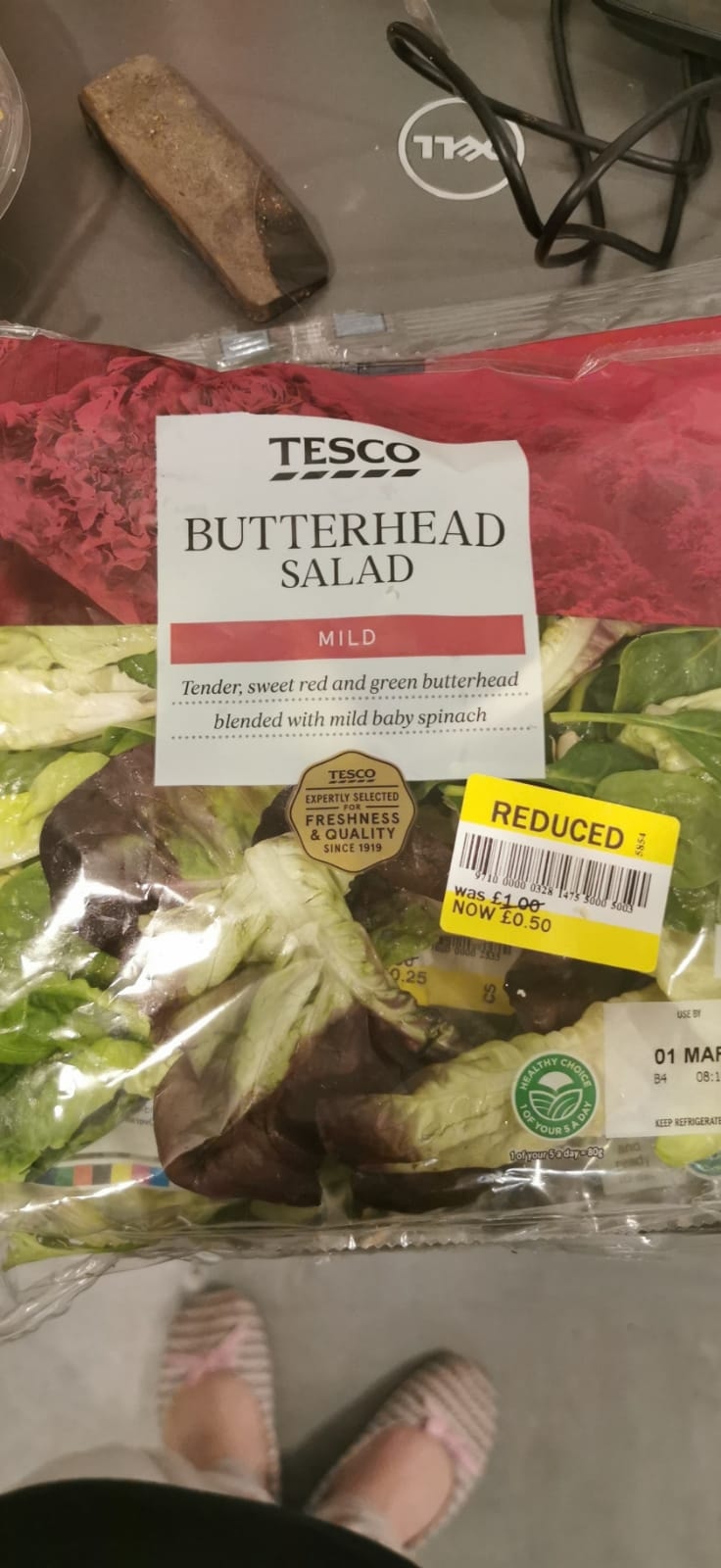 Butterhead salad OLIO