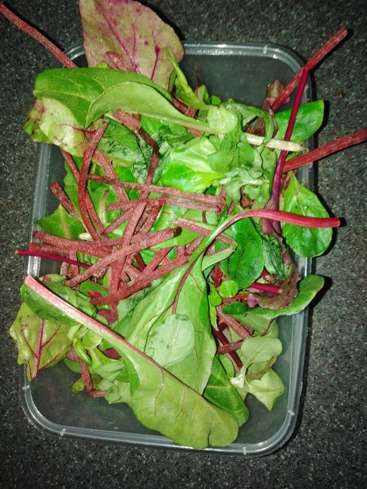 Beetroot leaves, chard, lambs lettuce mix OLIO