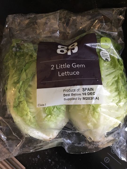 Little gem lettuce OLIO