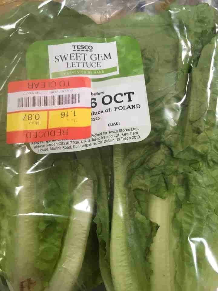 sweet-gem-lettuce-olio