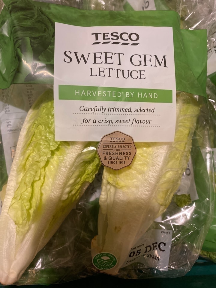 Tesco Sweet Gem Lettuce OLIO