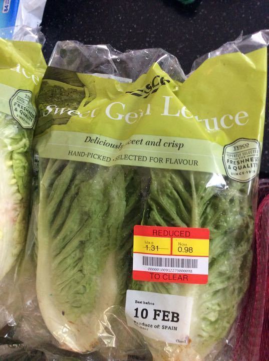 sweet-gem-lettuce-olio