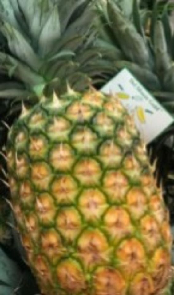 Pineapple from costco OLIO