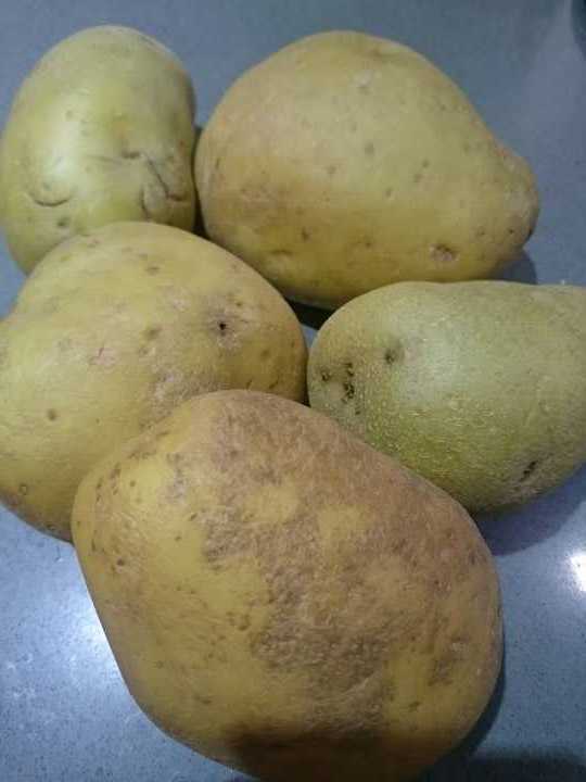 4 big potatoes OLIO