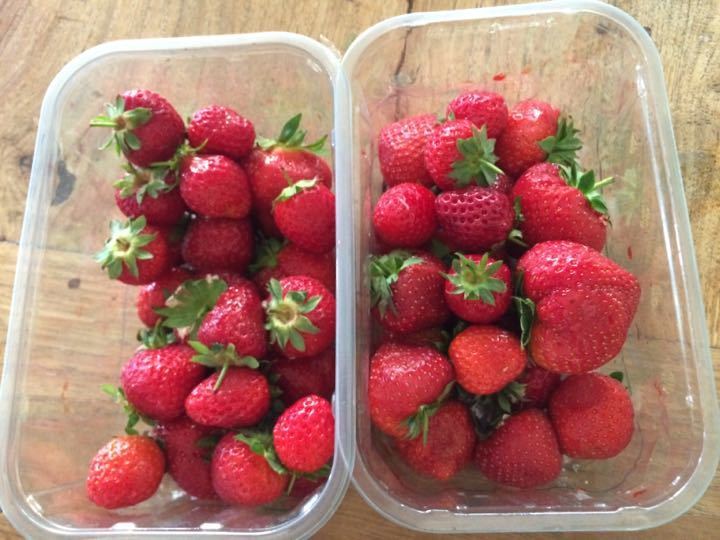 X2 cartons of strawberries OLIO