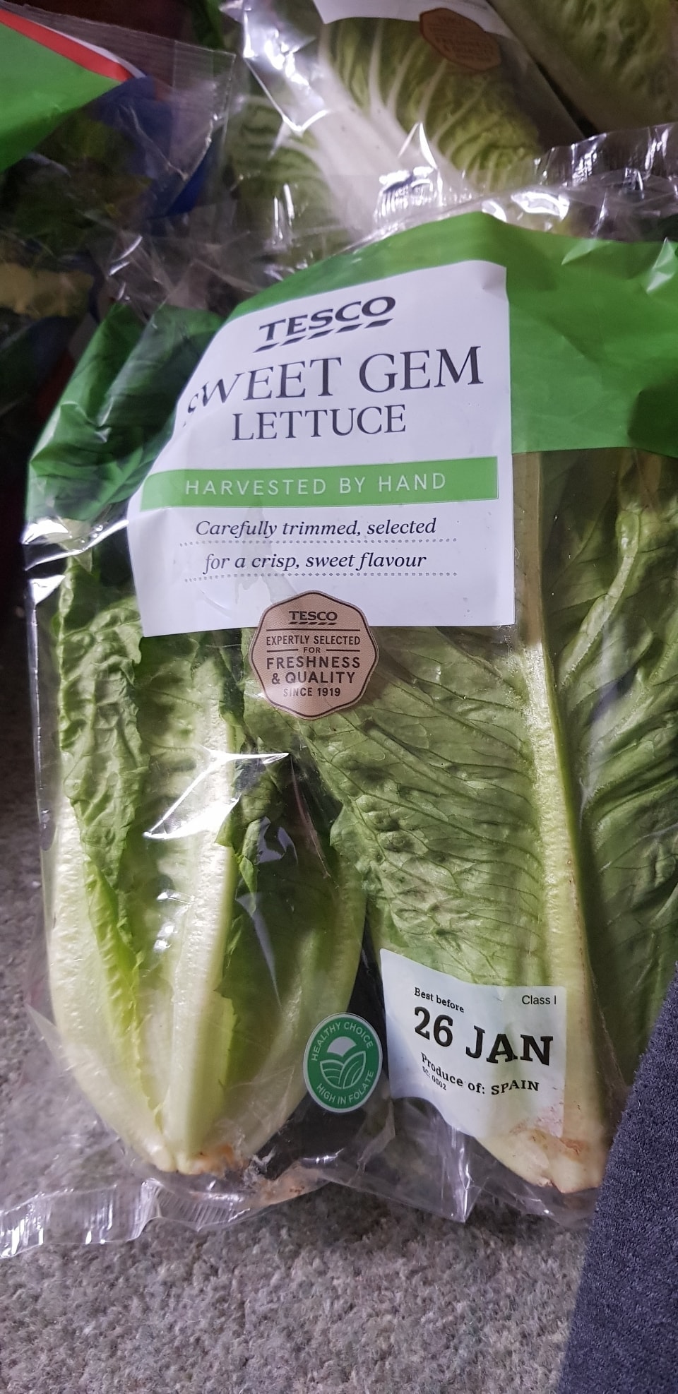 Tesco sweet gem lettuce OLIO