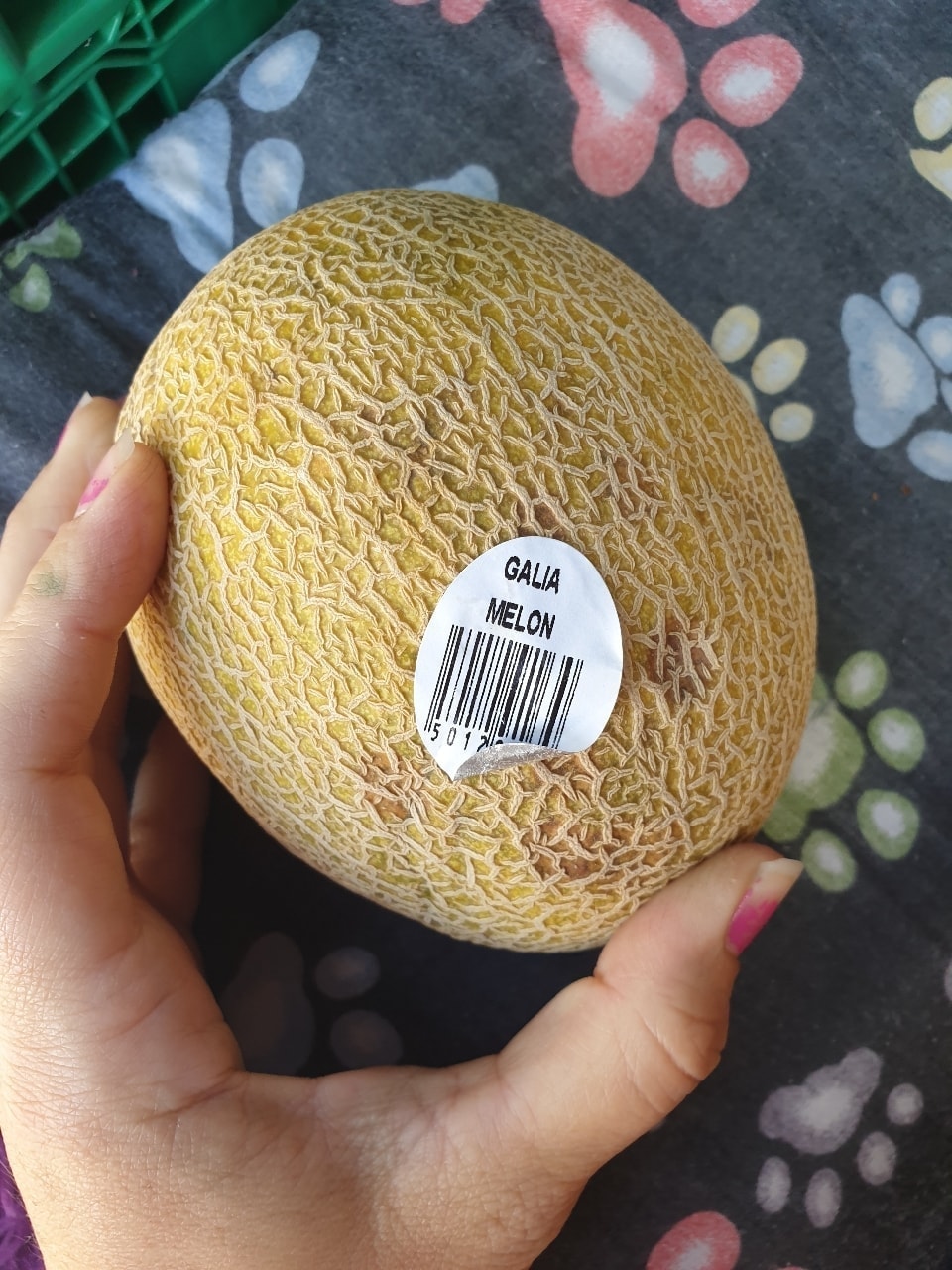 Bruised galia melon OLIO