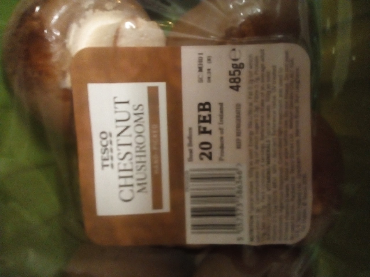 Tesco chestnut mushrooms bb4 20/2 OLIO