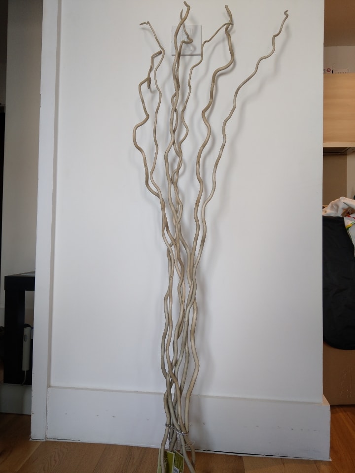 Willow Reeds 130cm OLIO